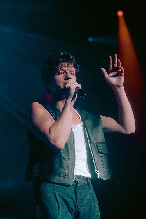 Charlie Puth（ 查理·普斯，断眉）