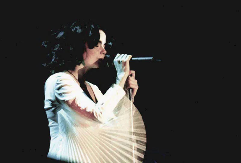 Björk（1997）